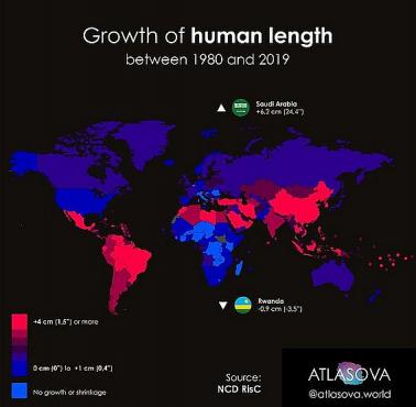Jak zmieniał się wzrost człowieka na świecie w latach 1980-2019