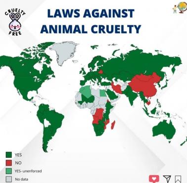 Państwa, w których ustawowo zakazano okrucieństwa wobec zwierząt