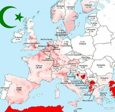 Prognozy wzrostu populacji muzułmańskiej w Europie do roku 2050