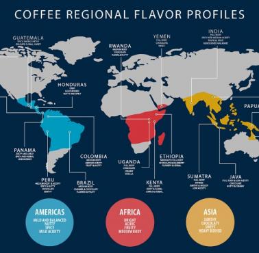 Producenci kawy na całym świecie w tym jej rodzaje