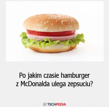Po jakim czasie hamburger z McDonalda ulega zepsuciu?