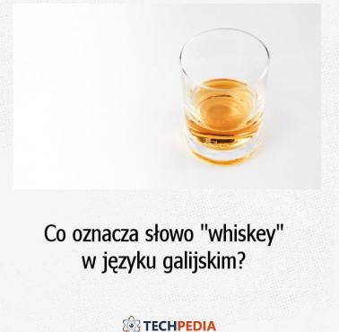 Co oznacza słowo "whiskey" w języku galijskim?