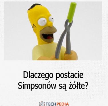 Dlaczego postacie Simpsonów są żółte?