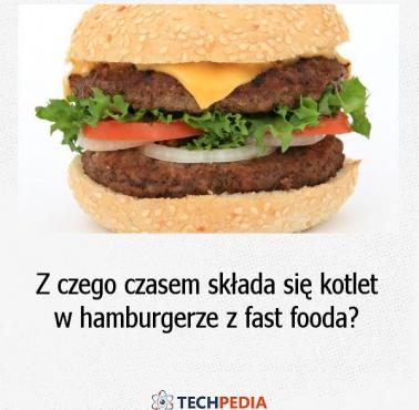 Z czego czasem składa się kotlet w hamburgerze z fast fooda?