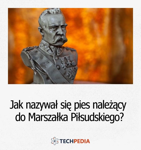 Jak nazywał się pies należący do Marszałka Piłsudskiego?
