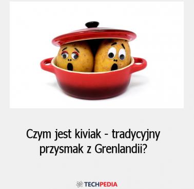 Czym jest kiviak - tradycyjny przysmak z Grenlandii?