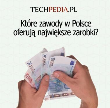 Które zawody w Polsce oferują największe zarobki?