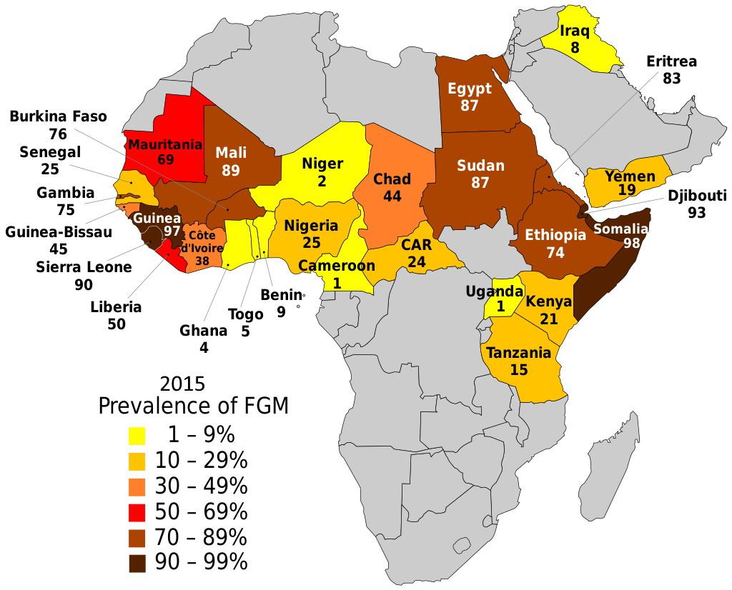 Kraje w Afryce i na Bliskim Wschodzie, gdzie wykonuje się zabieg obrzezania kobiet (Klitoridektomia), 2015