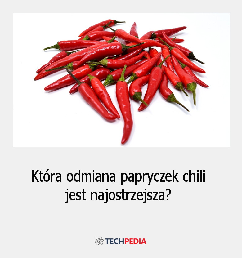 Która odmiana papryczek chili jest najostrzejsza?