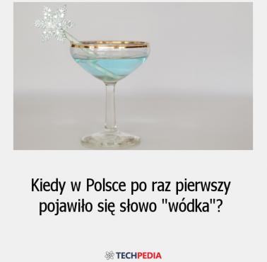 Kiedy w Polsce po raz pierwszy pojawiło się słowo wódka?