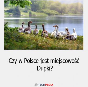 Czy w Polsce jest miejscowość Dupki?