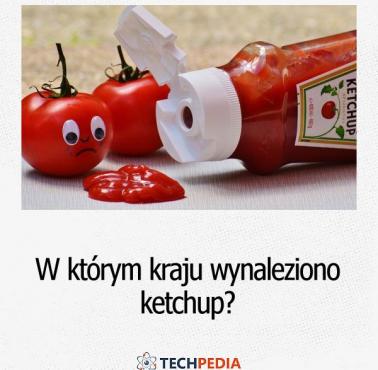 W którym kraju wynaleziono ketchup?