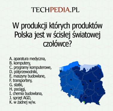 W produkcji których produktów Polska jest w ścisłej światowej czołówce?