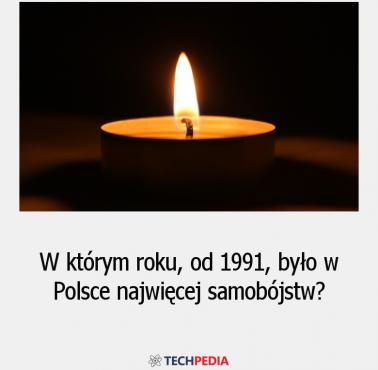 W którym roku, od 1991, było w Polsce najwięcej samobójstw?