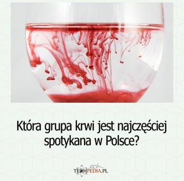 Która grupa krwi jest najczęściej spotykana w Polsce?